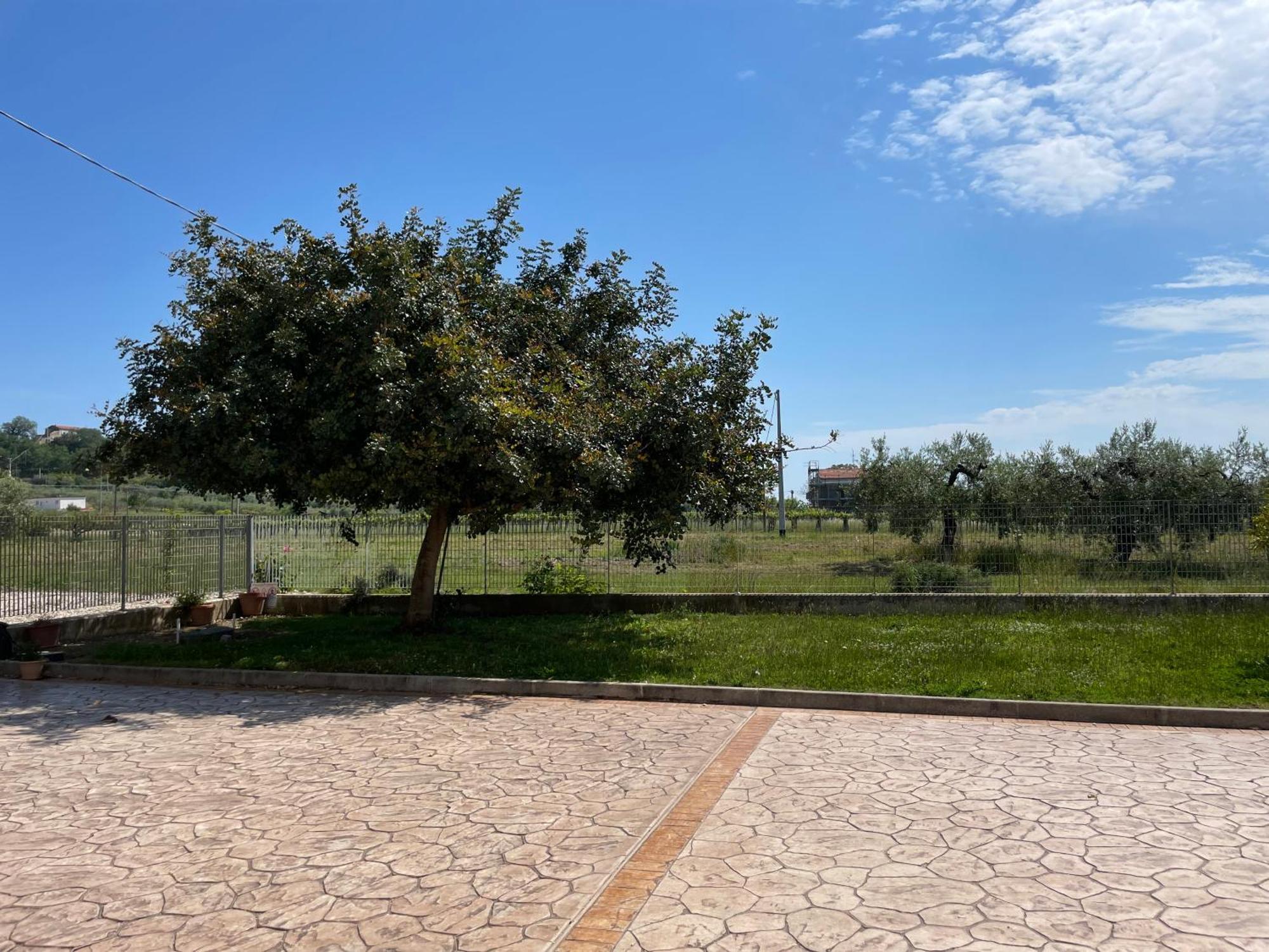 La Casa Di Michela Vila Torino di Sangro Exterior foto